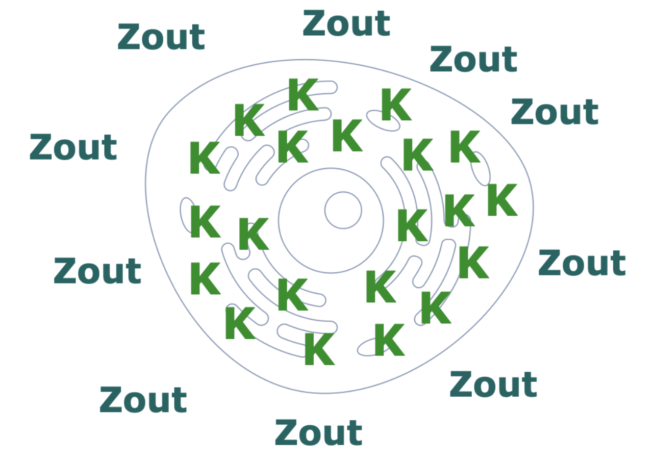 Kalium zout